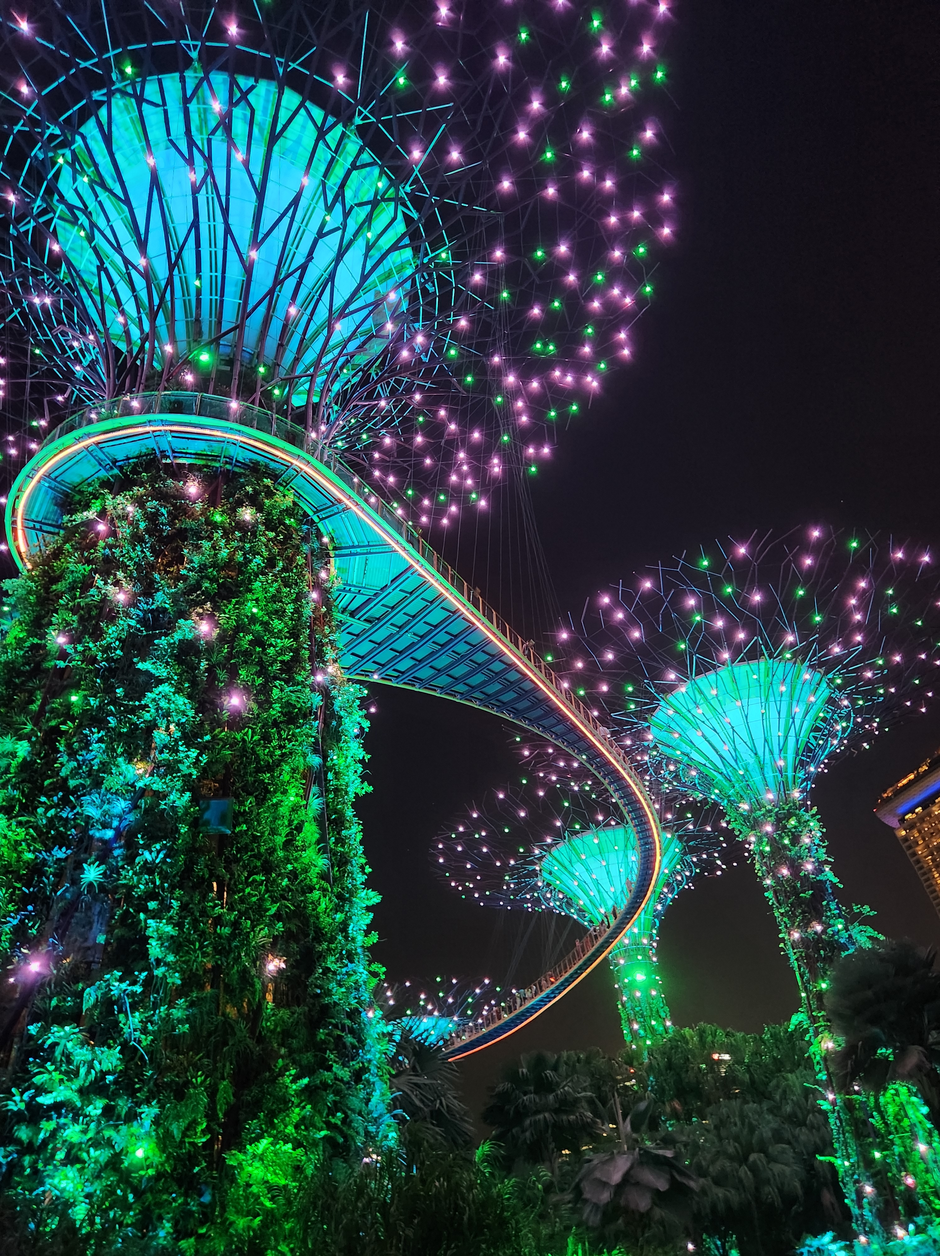 Gardens by the bay night