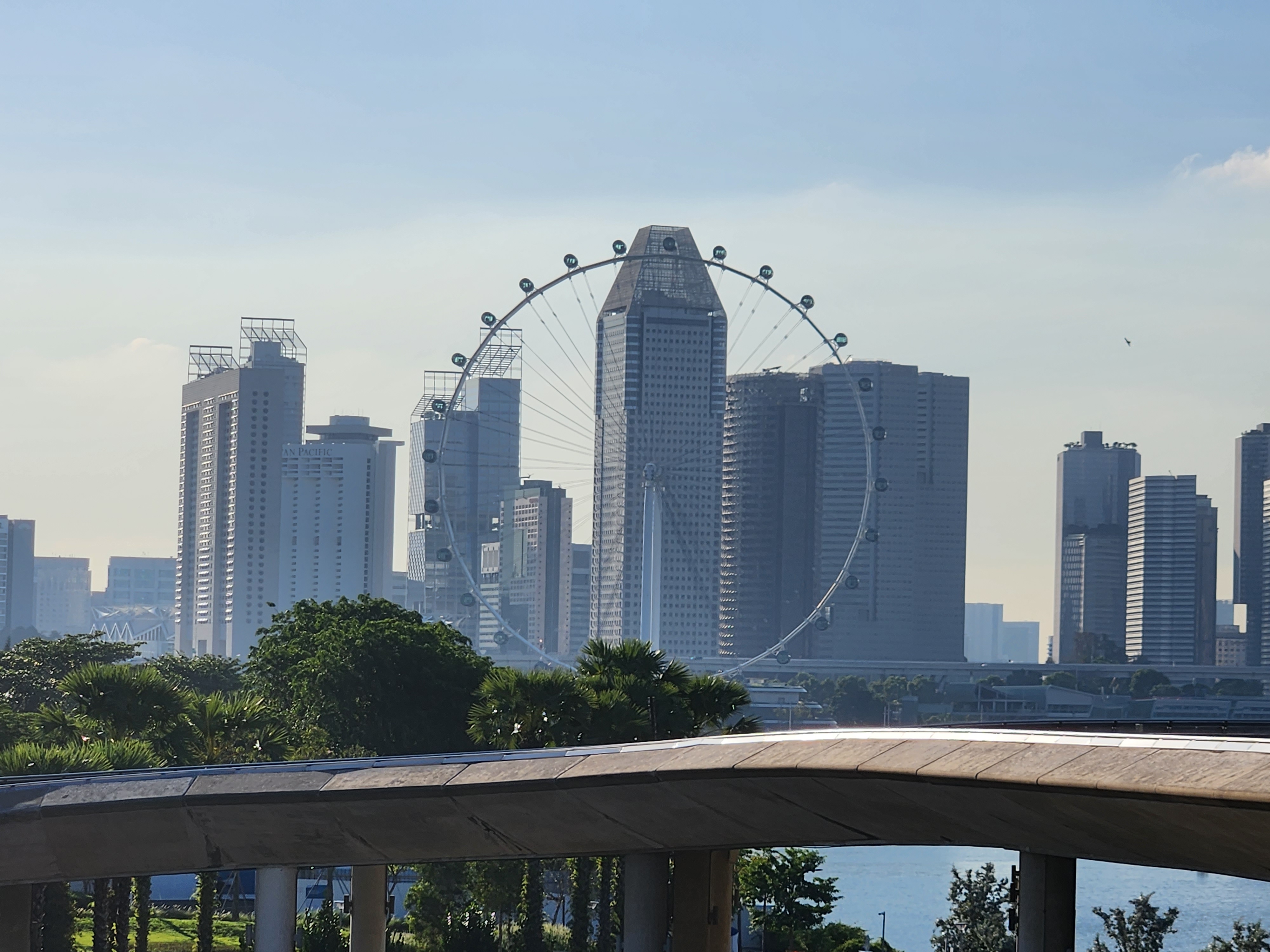 Singapore flyer skyline