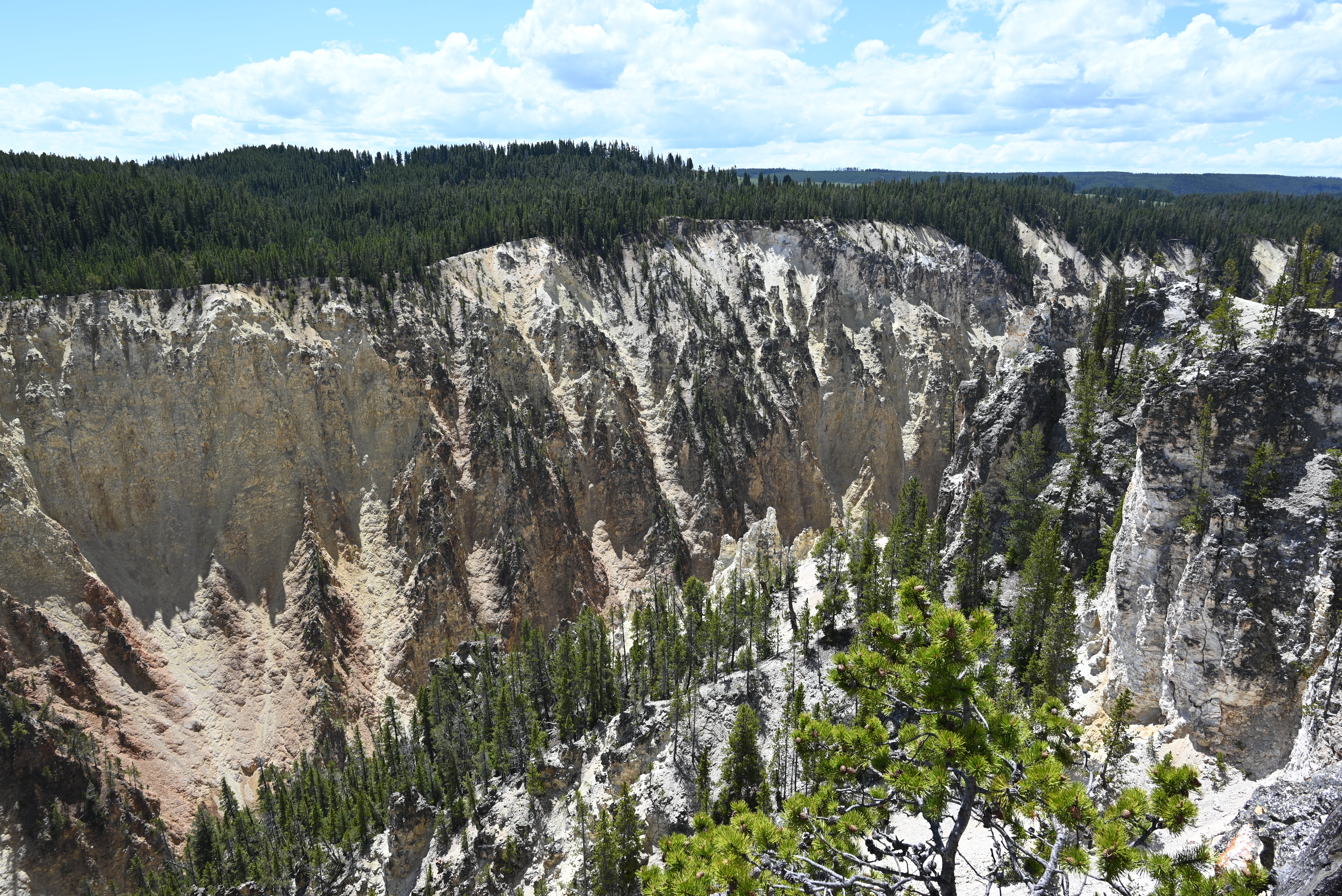 Yellowstone canyon